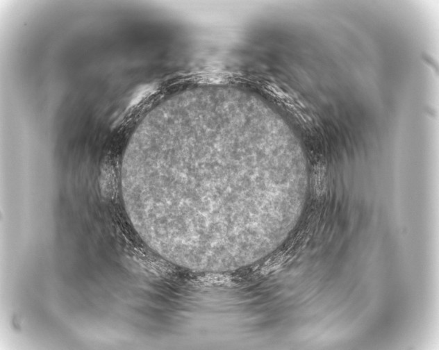 X0000093451446200711021104