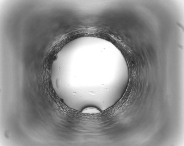 X0000093451447200711021104