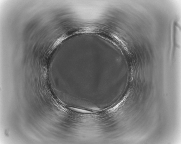 X0000093451449200711021104