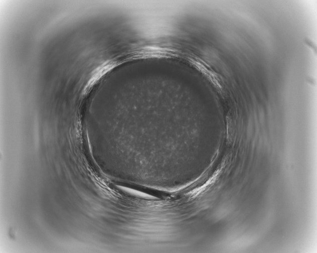 X0000093451453200711021104