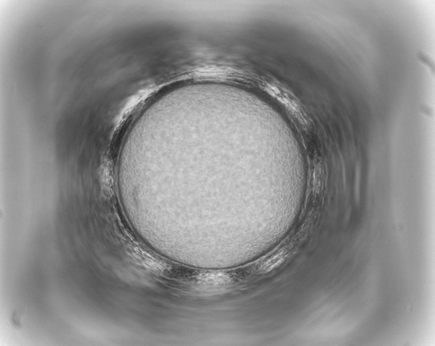 X0000093451454200711021104