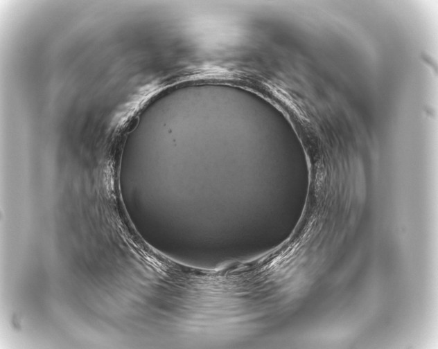 X0000093451455200711021104