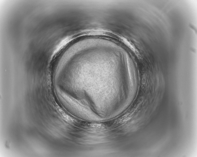 X0000093451456200711021104