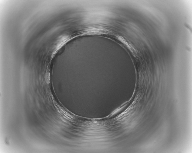 X0000093451459200711021104