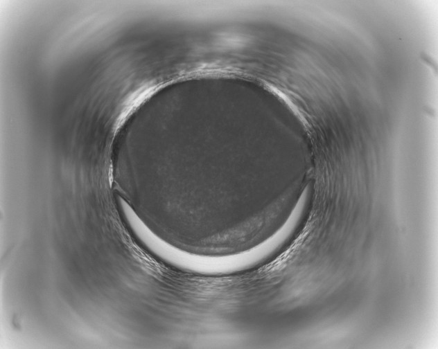 X0000093451461200711021104