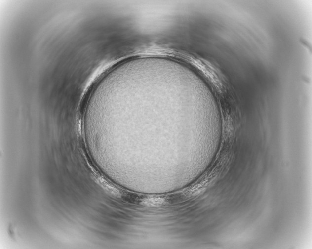 X0000093451462200711021104