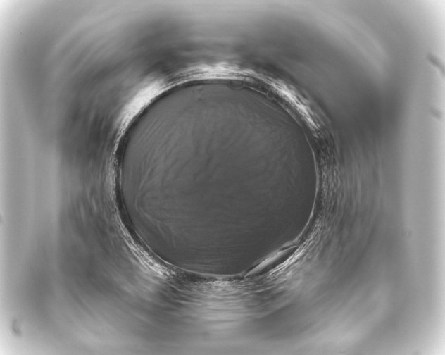 X0000093451463200711021104