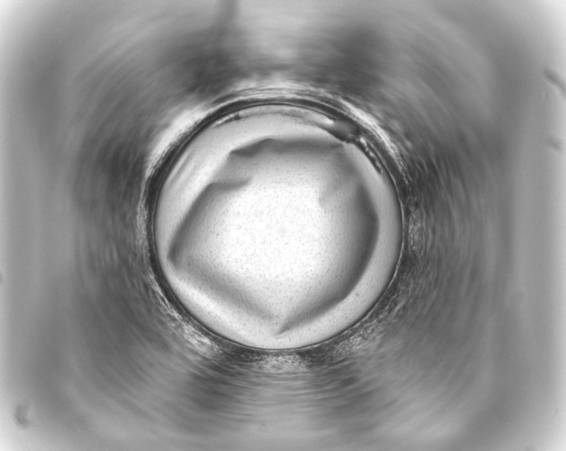 X0000093451464200711021104