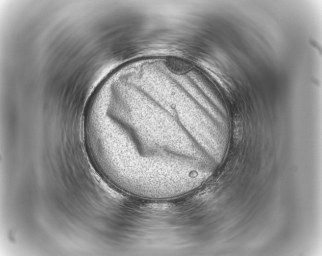 X0000093451468200711021104