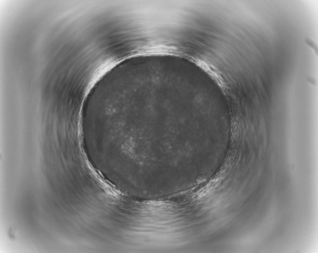 X0000093451469200711021104