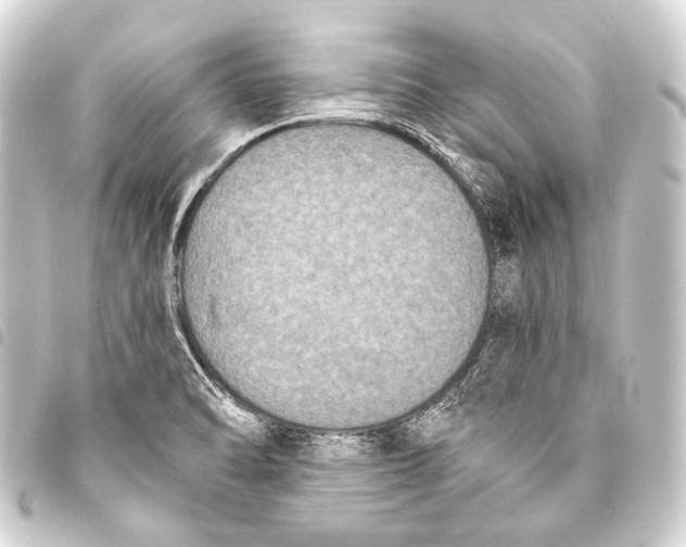 X0000093451470200711021104