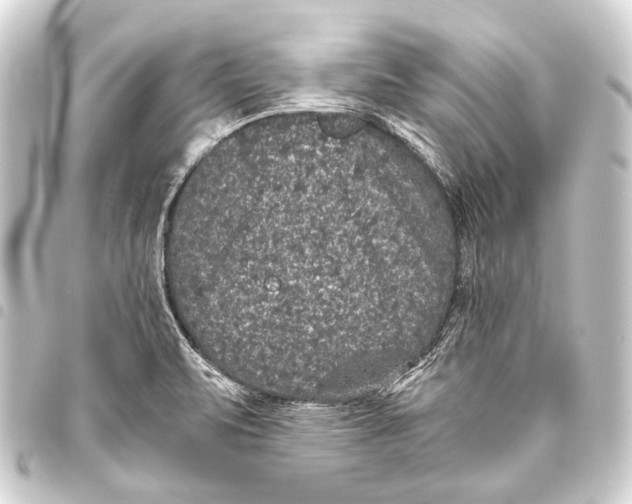 X0000093451471200711021104