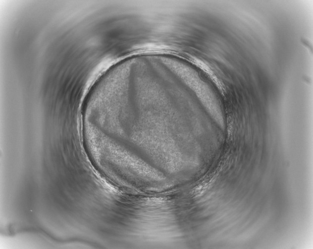 X0000093451472200711021104