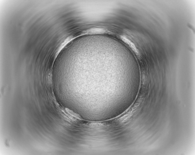 X0000093451473200711021104