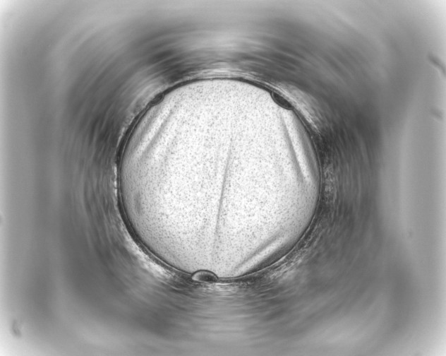 X0000093451476200711021104