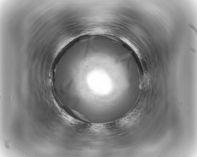 X0000093451477200711021104