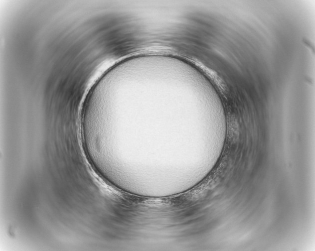 X0000093451478200711021104