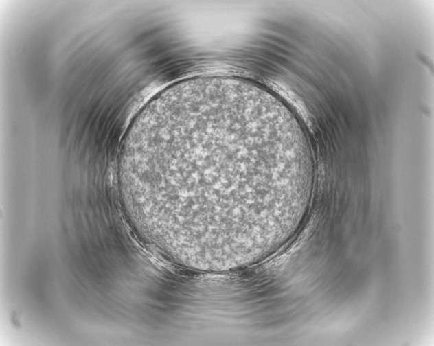 X0000093451481200711021104