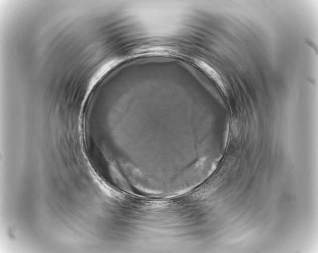 X0000093451482200711021104