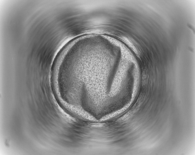 X0000093451484200711021104