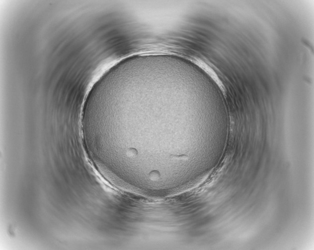 X0000093451485200711021104