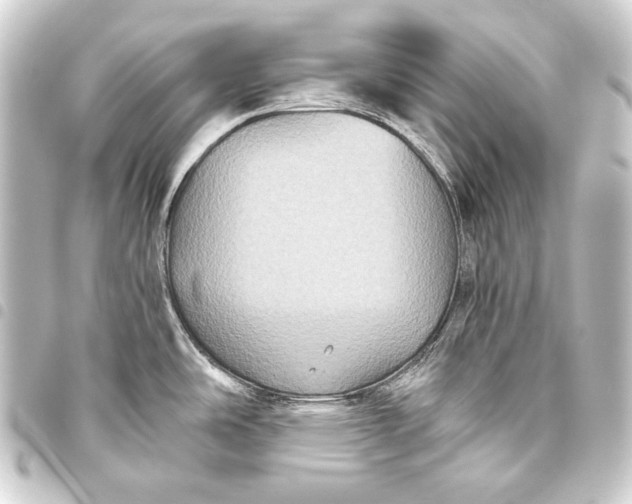 X0000093451486200711021104