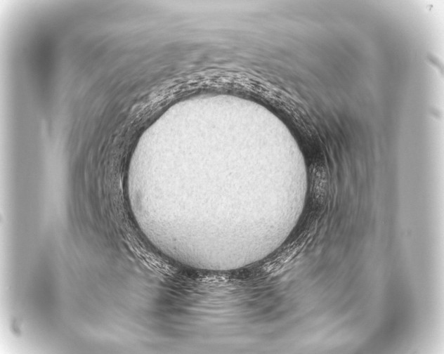 X0000093451489200711021103