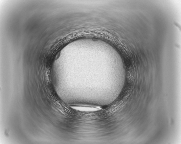 X0000093451490200711021103