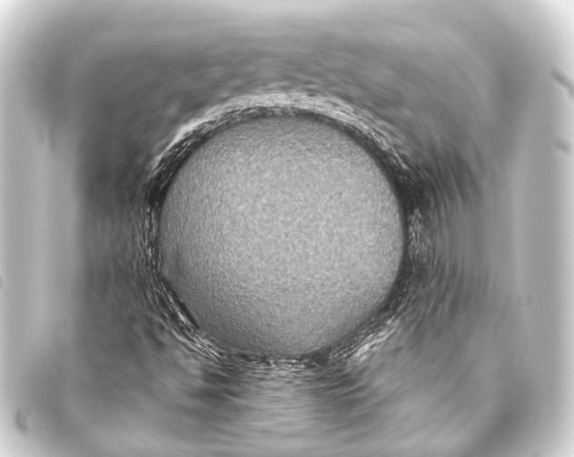 X0000093451494200711021103