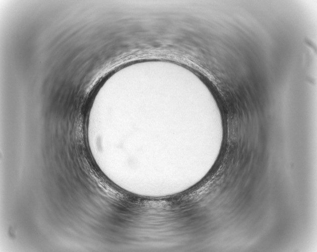 X0000093451498200711021103