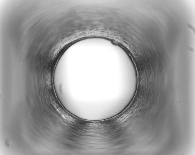 X0000093451499200711021103