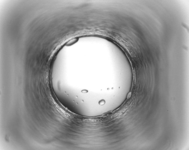 X0000093451500200711021103