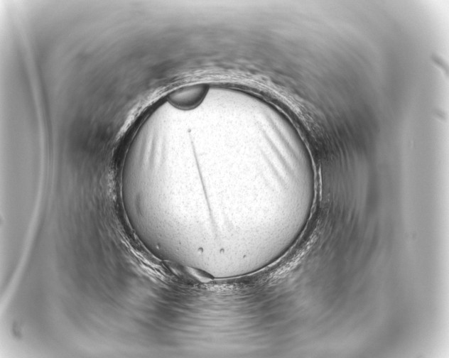 X0000093451501200711021103