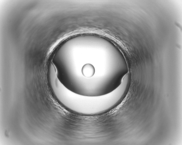 X0000093451502200711021103