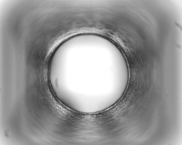 X0000093451504200711021103