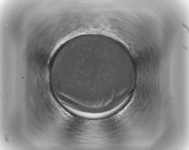 X0000093451506200711021103