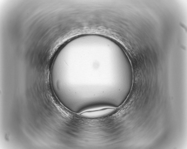 X0000093451507200711021103