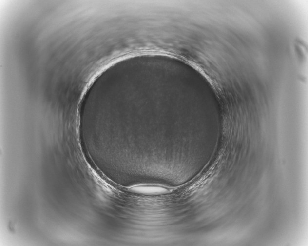 X0000093451508200711021103