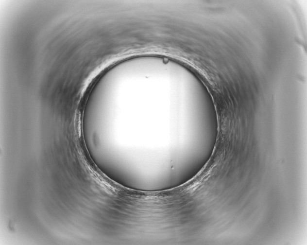 X0000093451510200711021103