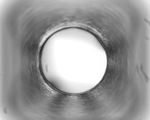 X0000093451512200711021103