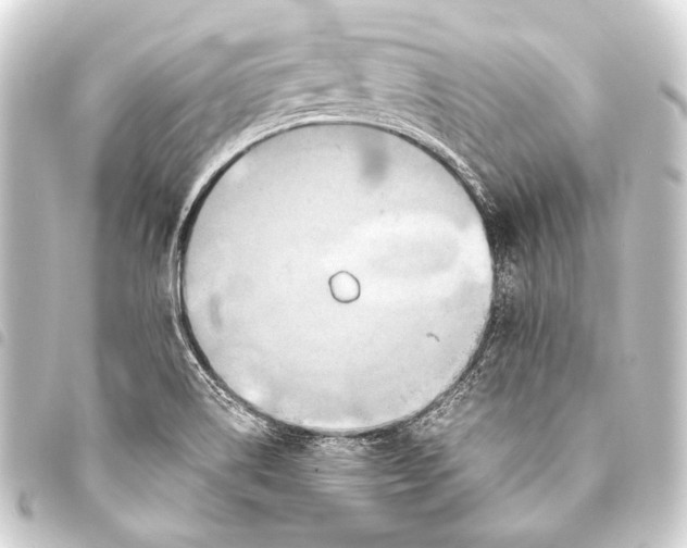 X0000093451514200711021103