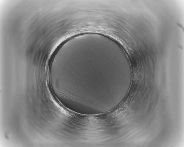 X0000093451515200711021103