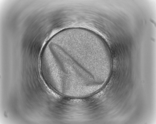 X0000093451517200711021103