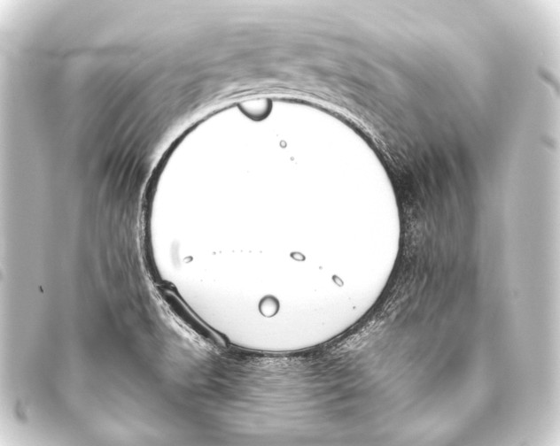 X0000093451518200711021103