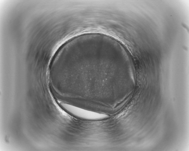 X0000093451519200711021103