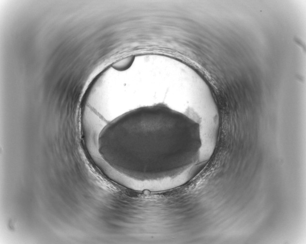 X0000093451522200711021103