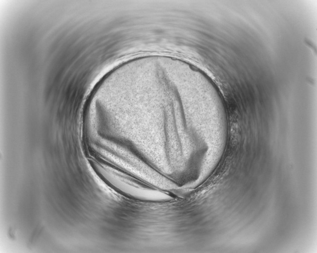 X0000093451523200711021103