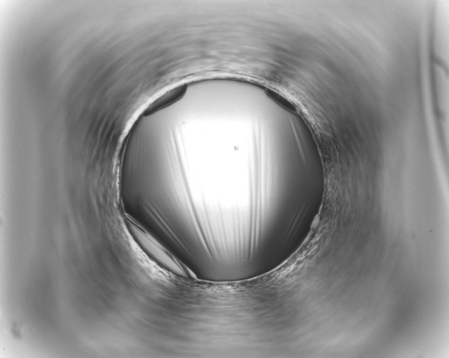 X0000093451524200711021103