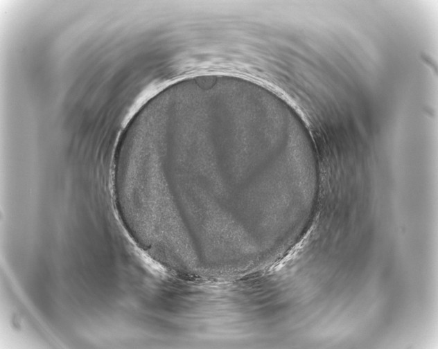 X0000093451525200711021103