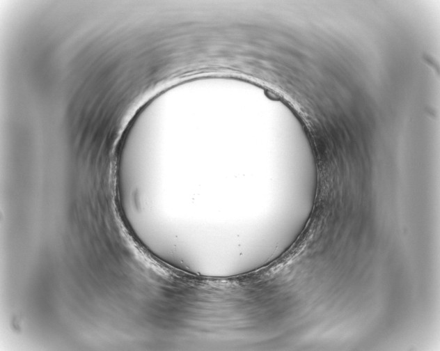 X0000093451526200711021103